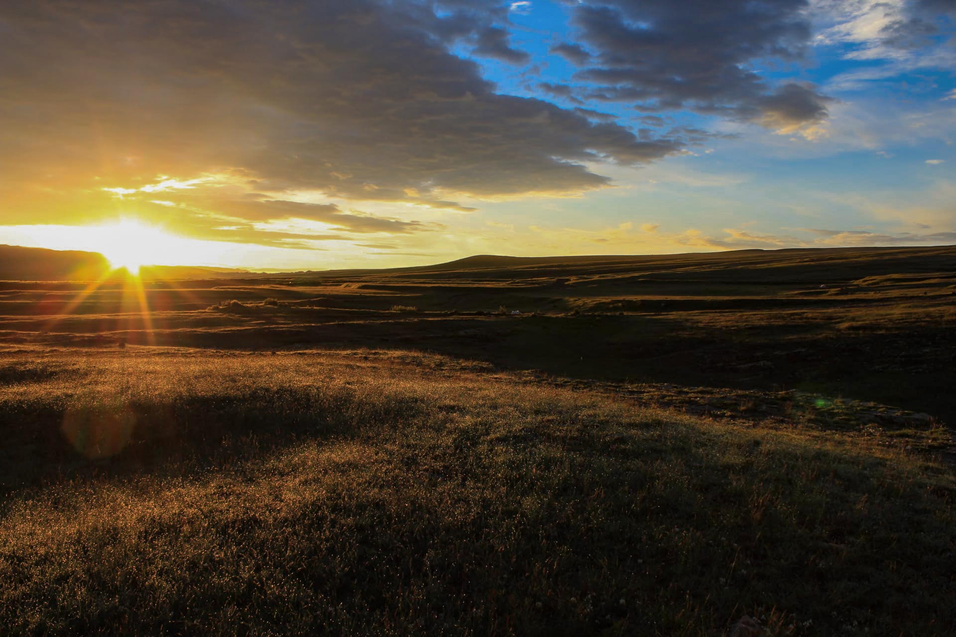 sunrise over field